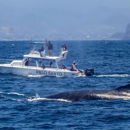 Whale House Hotel Puerto López Eksteriør bilde