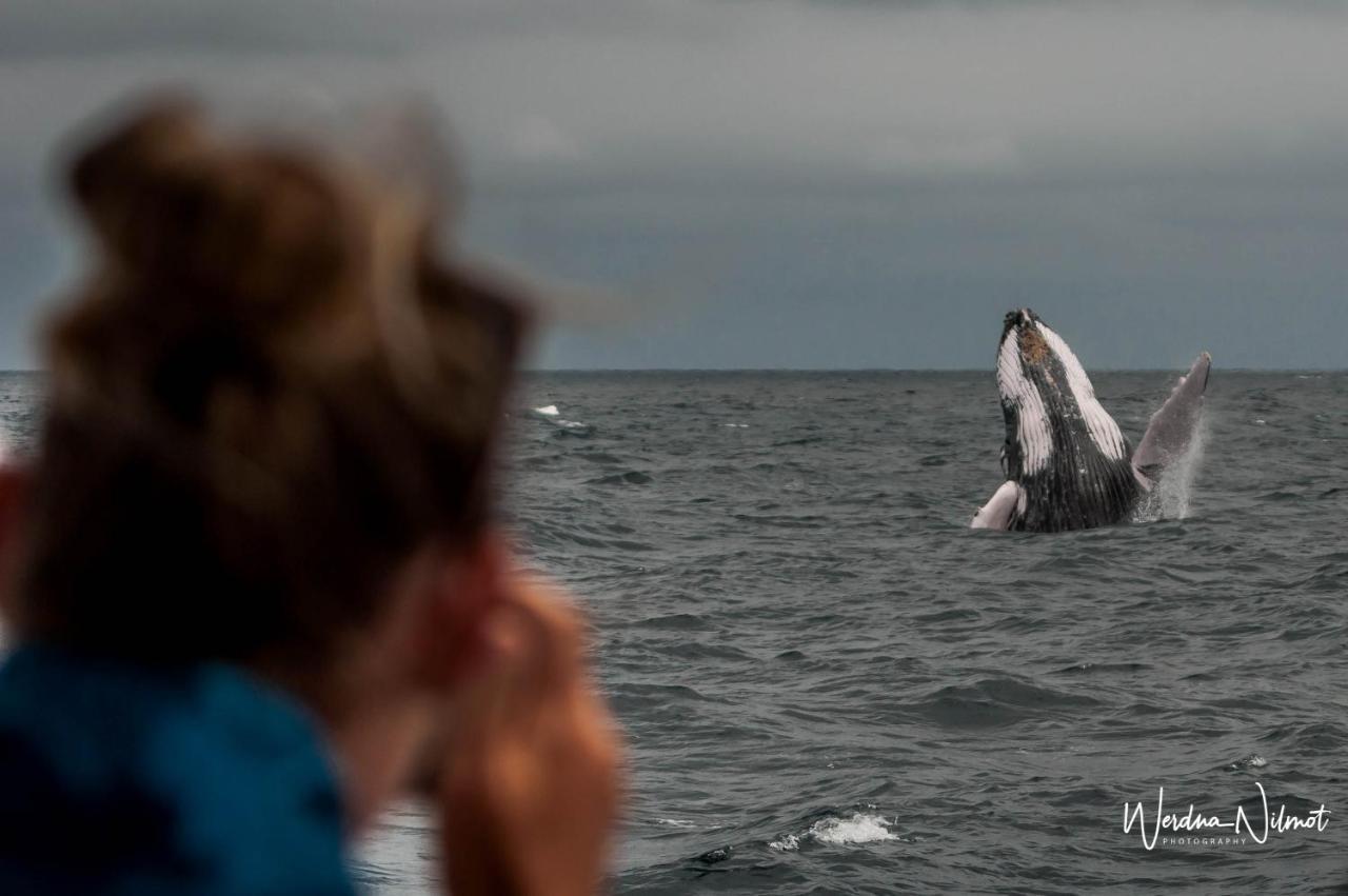 Whale House Hotel Puerto López Eksteriør bilde
